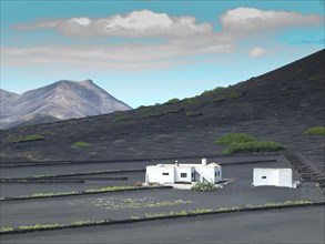 A white house on black ground with mountains and blue sky in the background, arrecife, Lanzarote,