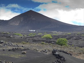 A volcano with black soil, green trees and clouds in the sky, arrecife, Lanzarote, Canary Islands,