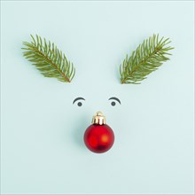 Face of a reindeer with a red bauble nose, fir antlers and friendly eyes, merry christmas greeting