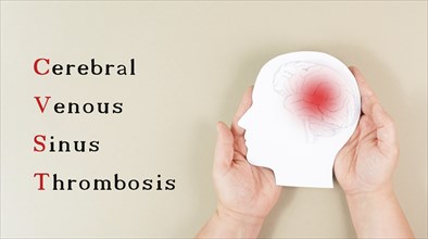 Cerebral venous sinus thrombosis is standing on the background, Silhouette of a head with a brain,