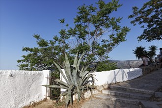 Panoramic path with white Cycladic-style wall, traditional residential neighbourhood of Anafiotika,