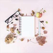 Empty notebook with an apple and a hedgehog, autumn template with colorful leaves, office desk,