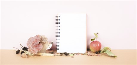 Empty notebook with an apple and a hedgehog, autumn background with colorful leaves, office desk,