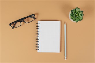 Empty notebook with a pen, eyeglasses and a cactus on a orange brown background, brainstorming for