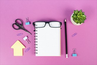 Empty notebook with a pen, eyeglasses and a cactus on a pink colored desk, brainstorming for new