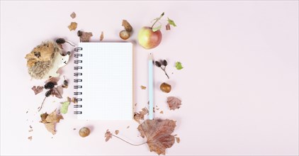 Empty notebook with an apple and a hedgehog, autumn template with colorful leaves, office desk,