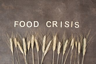 Food crisis with increasing prices and shortages, wheat ears on a brown background, supply chain