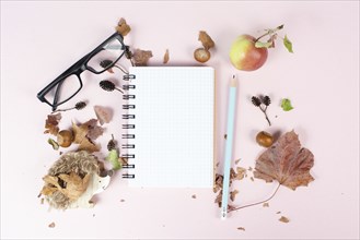 Empty notebook with eyeglasses, an apple and a hedgehog, autumn template with colorful leaves,