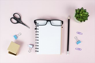 Empty notebook with a pen, eyeglasses and a cactus on a pastel colored desk, brainstorming for new