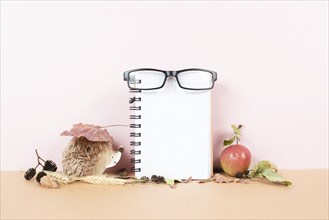 Empty notebook with eyeglasses, an apple and a hedgehog, autumn template with colorful leaves,