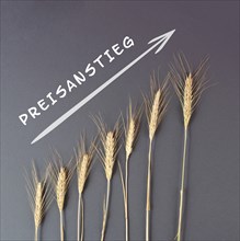 Increase in prices is standing in german language over the wheat ears, food shortages, supply chain