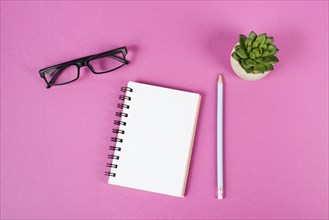 Empty notebook with a pen, eyeglasses and a cactus on a pink background, brainstorming for new