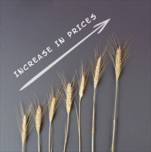 Food crisis with increasing prices and shortages, wheat ears on a brown background, supply chain