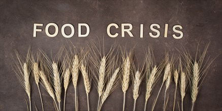 Food crisis with increasing prices and shortages, wheat ears on a brown background, supply chain