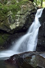 Waterfall and rocks in the Trübenbachtal nature reserve near Kirn in Naheland on the edge of the