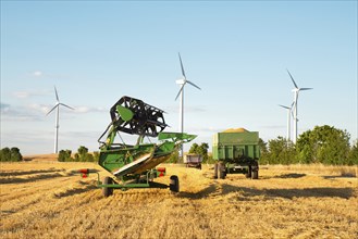 Harvester in a field of cultivated barley in Germany, harvest in the summer, agriculture for food,