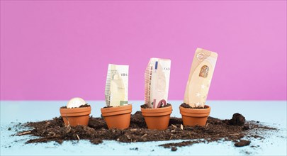 Euro banknotes in small flowerpots, money growing, financial planning, profitable investment, hope