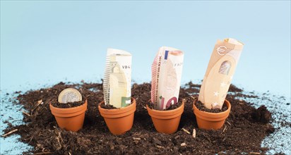 Euro banknotes in small flowerpots, money growing, financial planning, profitable investment, hope