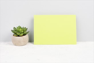 Empty paper with a cactus textured background, brainstorming for new ideas, writing a message,