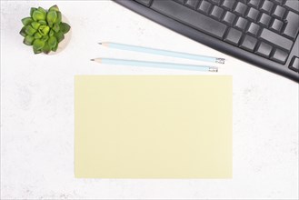 Empty paper with a pen, computer keyboard and a cactus, textured background, brainstorming for new