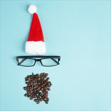 Christmas season, red Santa Claus hat, eyeglasses, beard with coffee beans, funny face, winter