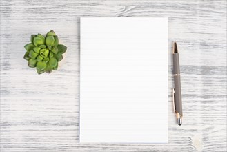 Empty paper with a pen and a cactus textured background, brainstorming for new ideas, writing a