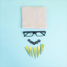 Human face of a man made with a wool hat, glasses and leaves as a beard, funny minimalist portrait,