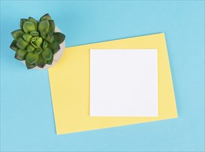 Empty paper with a pen and a cactus textured background, brainstorming for new ideas, writing a