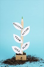 Plant grows for success, having an idea, planning a strategy, teamwork for success step by step