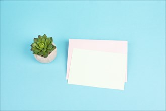 Empty paper with a pen and a cactus textured background, brainstorming for new ideas, writing a