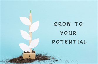 Plant made from a pencil and paper, the phrase grow to your potential is standing on the