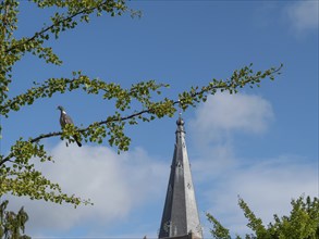 View of a church tower with a bird on a branch in the foreground and blue sky in the background,