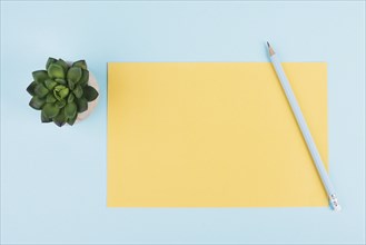 Empty paper with a pen and a cactus textured background, brainstorming for new ideas, writing a