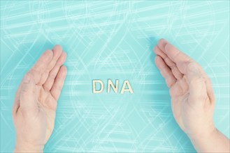 The word DNA is standing between the hands, genetic therapy and treatment, biotechnology in mordern