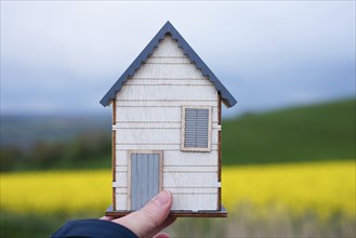 Wooden house in a meadow, buying or renting a house in nature, real estate concept, booking home