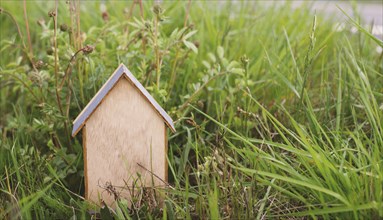 Wooden house in a meadow, buying or renting a house in nature, real estate concept, booking home