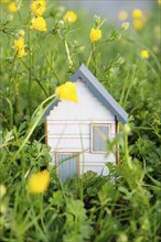 Wooden house in a meadow, buying or renting a housein nature, real estate concept, booking home for