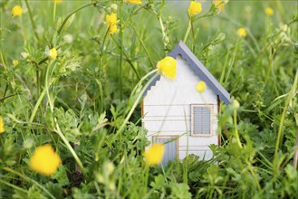 Wooden house in a meadow, buying or renting a housein nature, real estate concept, booking home for