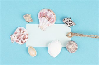 Empty paper tag with seashells around, holiday and summertime background, vacation ad travel