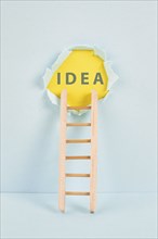 Ladder of success, having an idea, marketing and business concept, brainstorming for new goals,