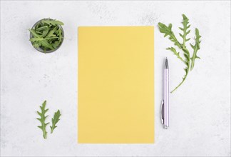 Blank colored paper with a pen, arugula salad leaves, copy space for text, recipe for cooking,