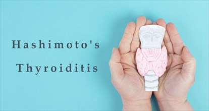 Hashimoto's thyroiditis, chronic lymphocytic disease, holding a thyroid organ, autoimmune symptoms,