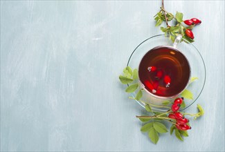 Hip rose tea with fresh fruits and leaves, hot drink