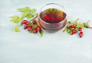 Hip rose tea with fresh fruits and leaves, hot drink