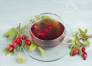 Hip rose tea with fresh fruits and leaves, hot drink