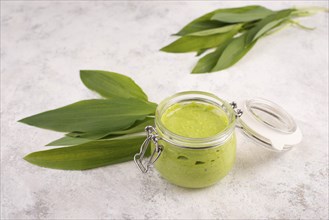 Pesto made from wild garlic, pine nuts and feta cheese in a glass, with fresh leaves on a textured