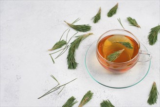 Pine needle tea in a cup on a white textured background, empty copy space for text