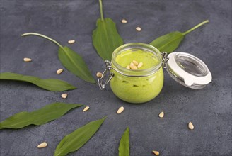 Pesto made from wild garlic, pine nuts and feta cheese in a glass, with fresh leaves on a dark