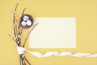 Easter holiday and spring background, empty paper for text, pastel colors, nest with eggs, pussy