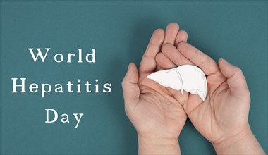 World hepatitis day, hands holding a liver, organ disease, health care